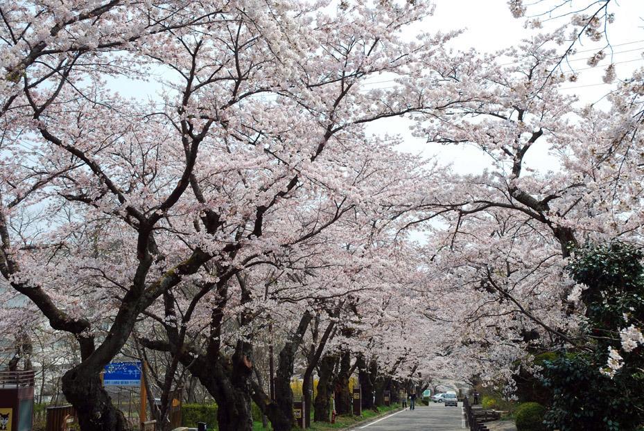 Kunugidaira Hotel Fukushima  Buitenkant foto